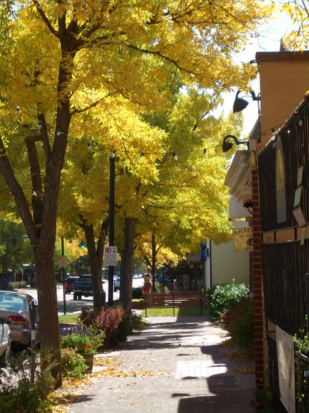 fall in Old Colorado Springs/Co