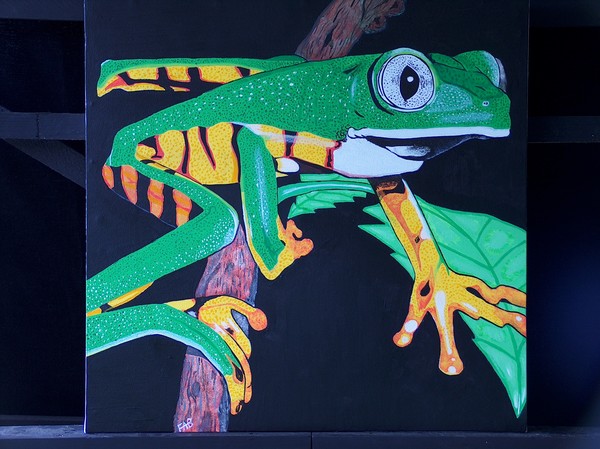 barred leaf frog