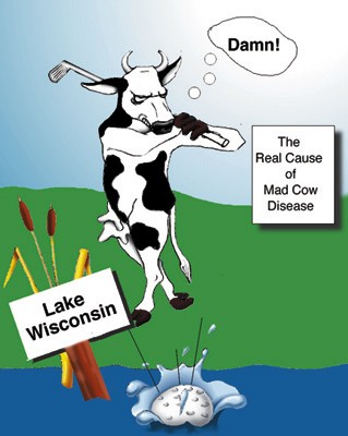 The Real Cause of Mad Cow Disease