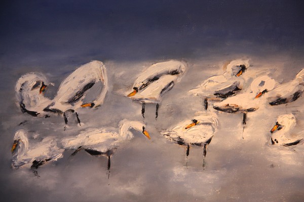 Swans