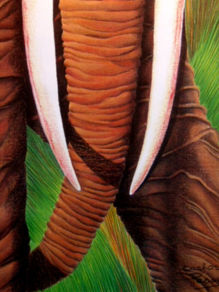 Elephant detail 1