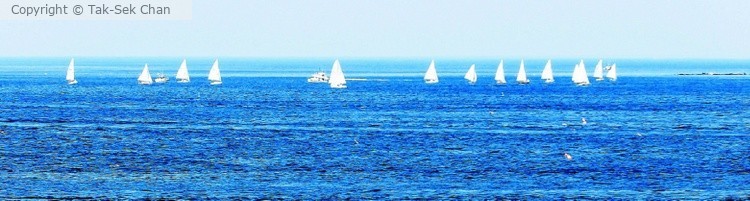 Distant white sails, Rockport, MA, 07-12-15