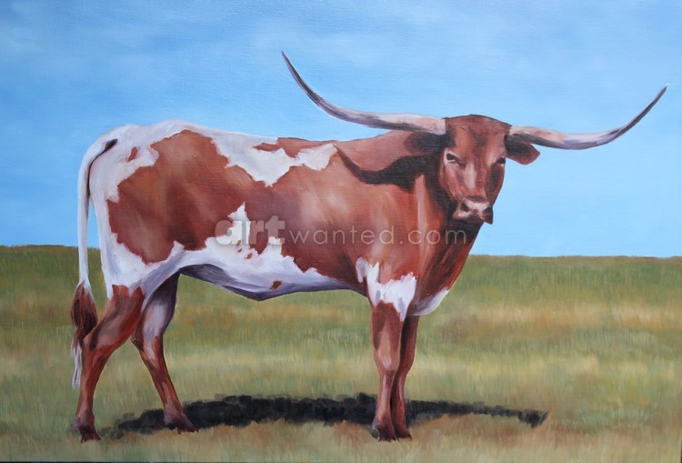 longhorn