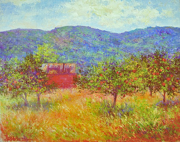 Apple trees in Virginia