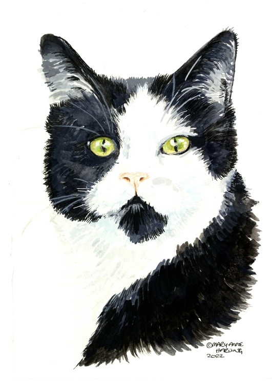 A5 watercolour painting of a black and white cat 