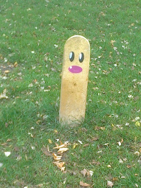 paint a diglet-pole