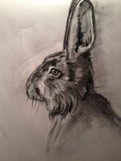 Portrait of a Hare