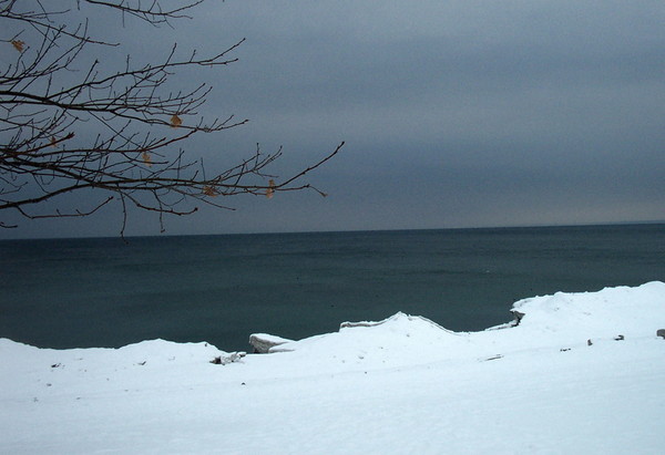 Early Winter (Lakeshore, Toronto)