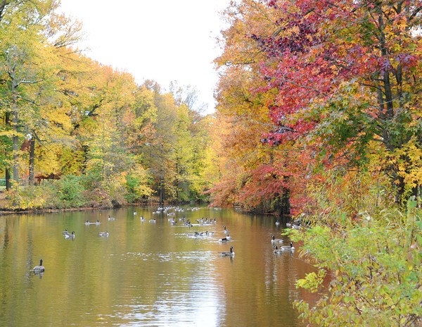 Bellevue State Park