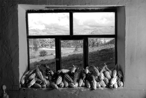 Corn on window, Cajamarca, Peru
