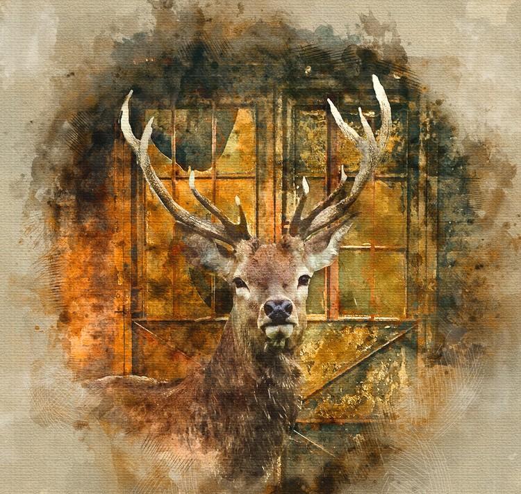 stag head