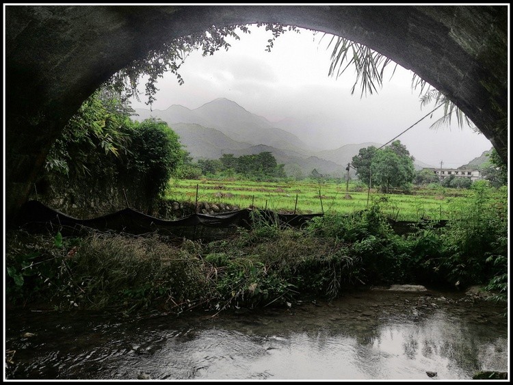 under the bridge