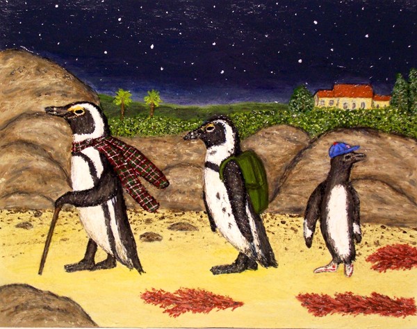 African Penguins Make A Trek
