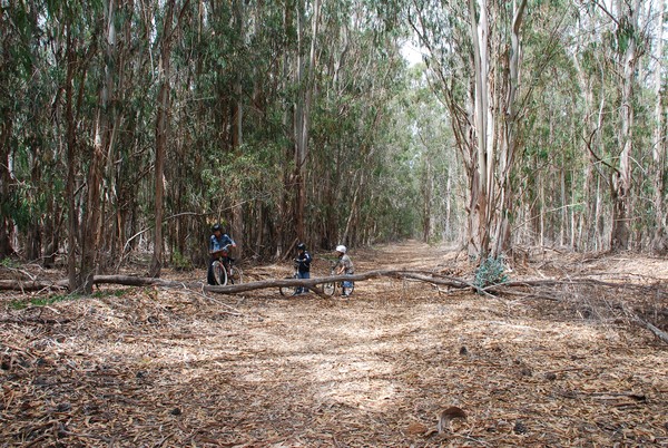 Blocked Trails