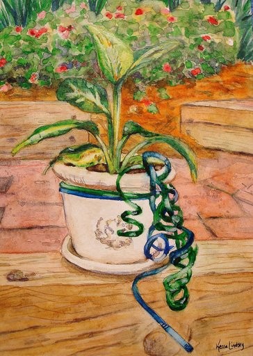 Potted Plant Gift Card Watercolor