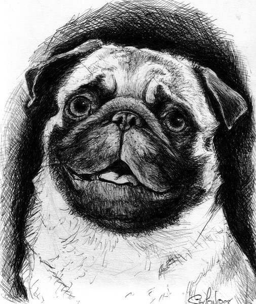 PUG