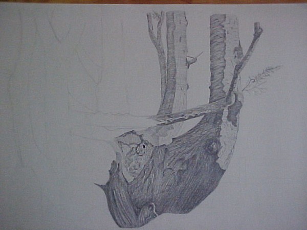 Unfinished-tree