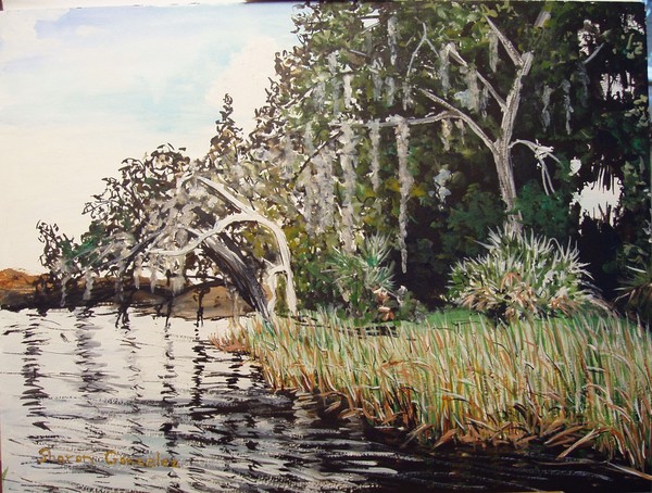 Alafia River, Florida  Watercolor