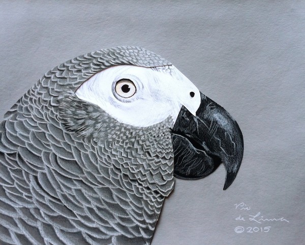 African Grey Parrot Drawing