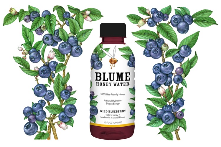 Blueberries Illustration for Blume Honey Water