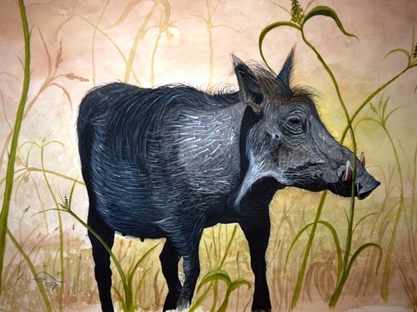 Wild Warthog