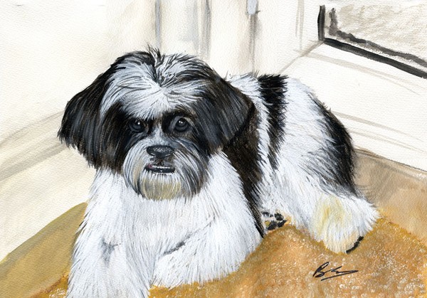 Pet Painting of Blackie the dog