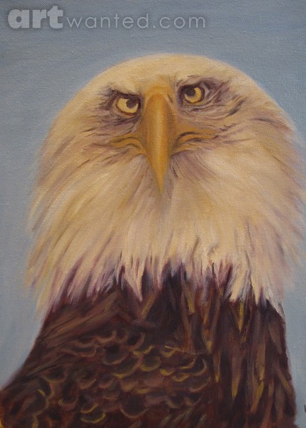 Wild Life Bald Eagle