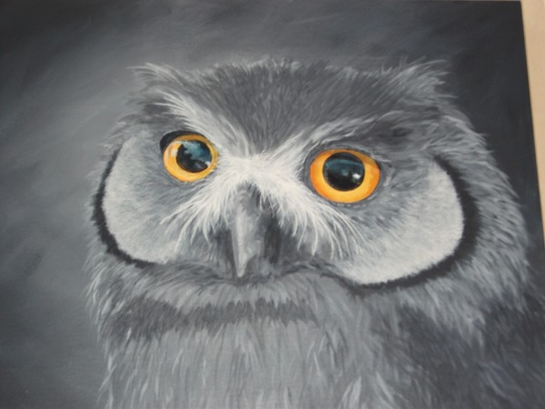 owl on canvas acrylic