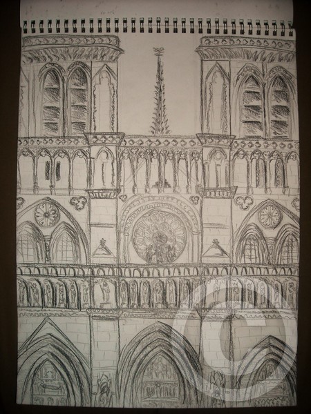 Notre-Dame Study 3