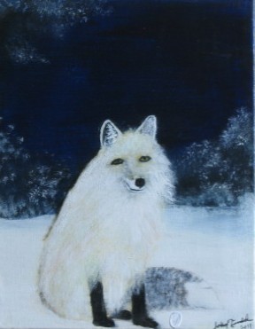 White Fox in Winter