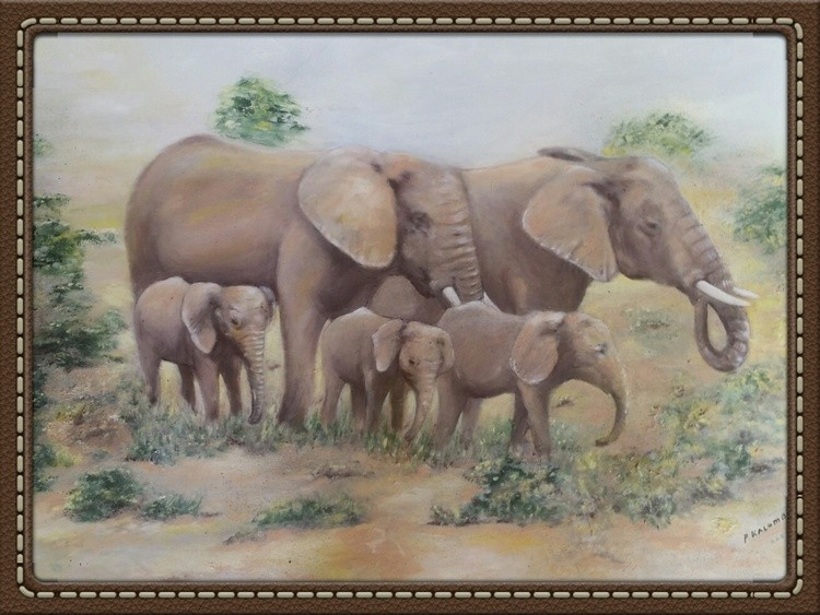 Elephant Family with 5 members