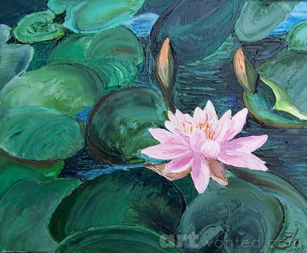 Waterlilly 