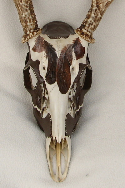 feather skull