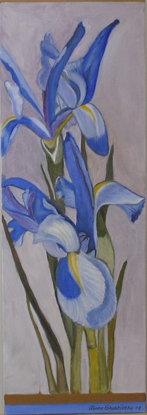  Iris panel