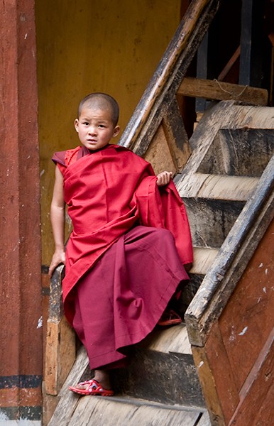 Young Monk No. 1