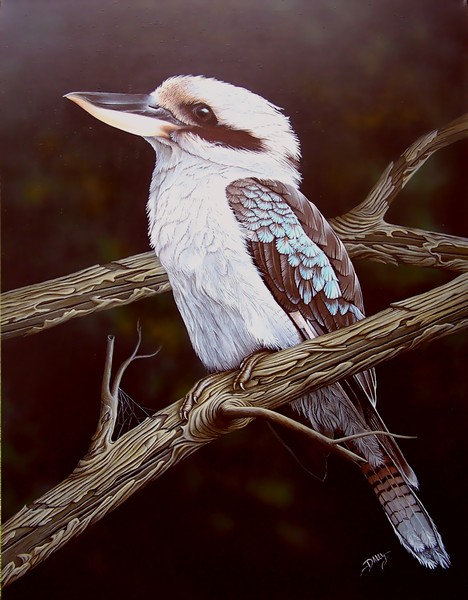 Blue Winged Kookaburra - reworked