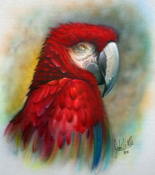 Red Parrot