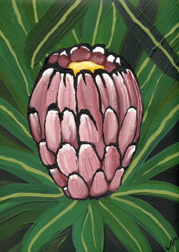 Protea