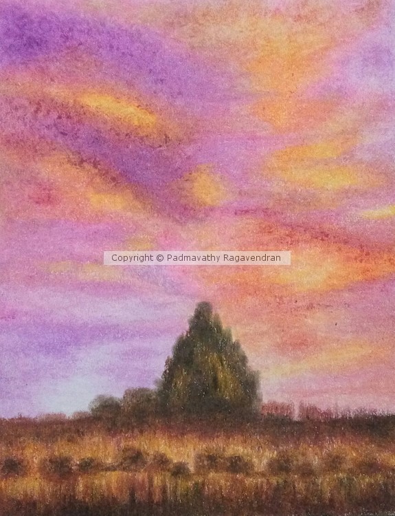 Sunset meadow in pastel