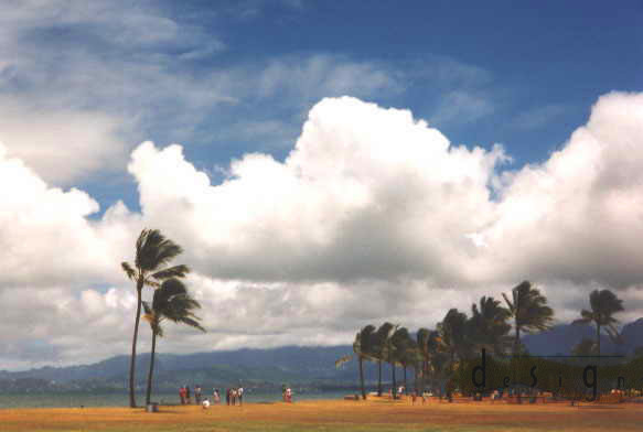 Hawaiian Winds