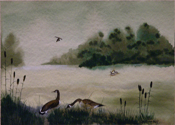 Marsh Geese