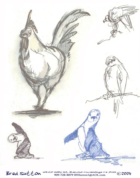 Animal Drawings