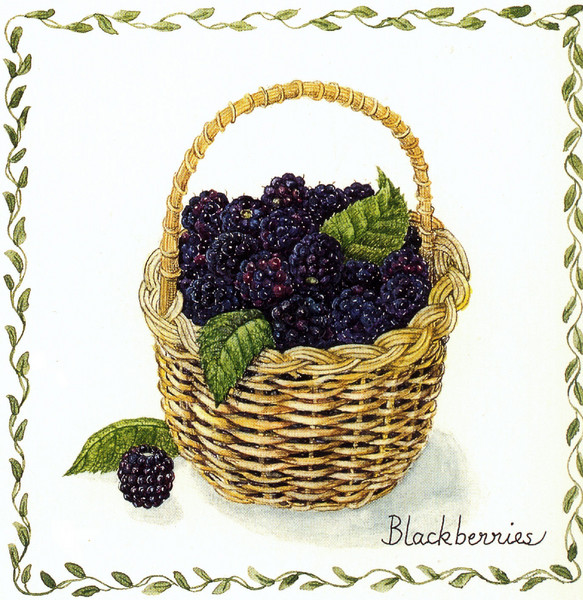 Blackberry Basket