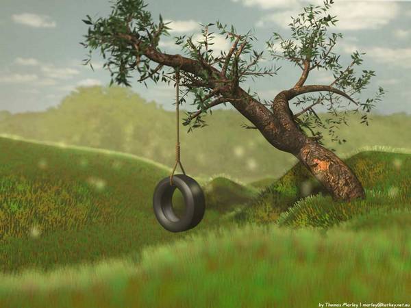 Tyre Swing