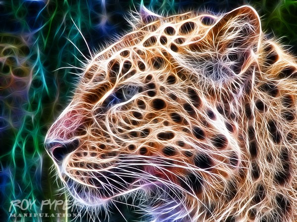 Leopard: Fractalius Re-Edit
