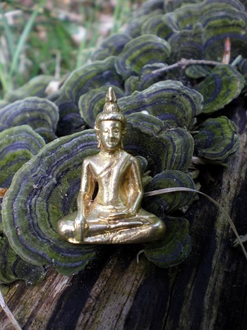 Buddha's Forest  3