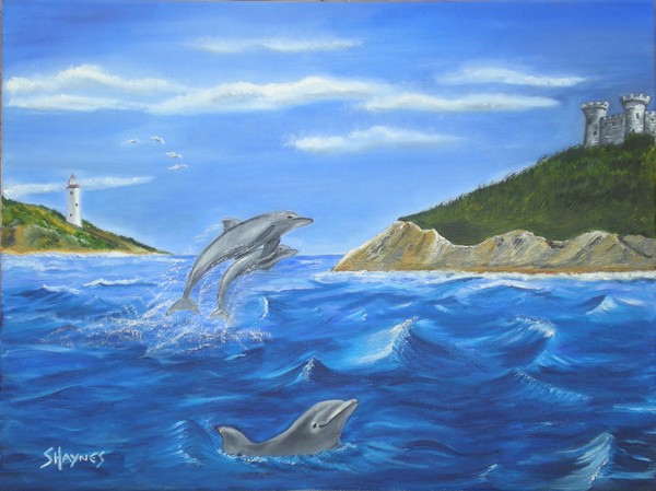 Dolphins Cove