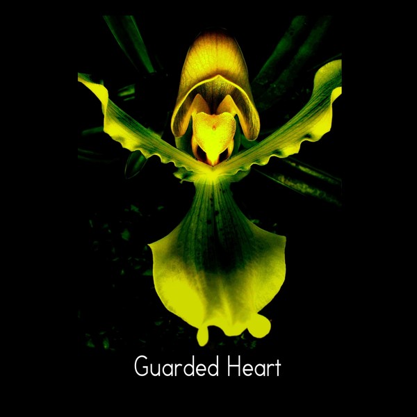 Guarded Heart - Orchid Alien