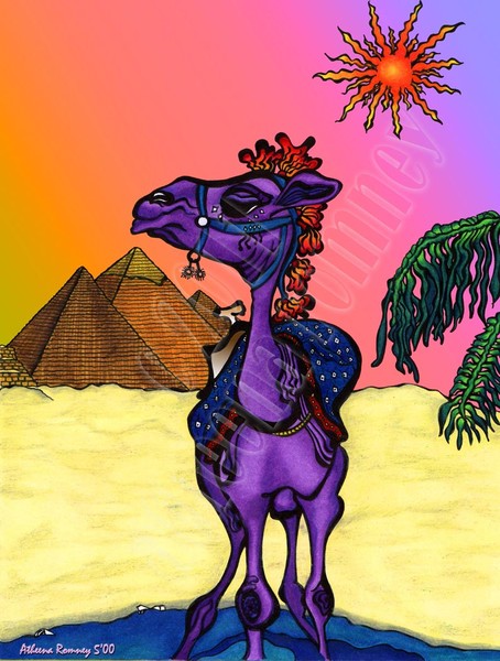 Camel in Giza