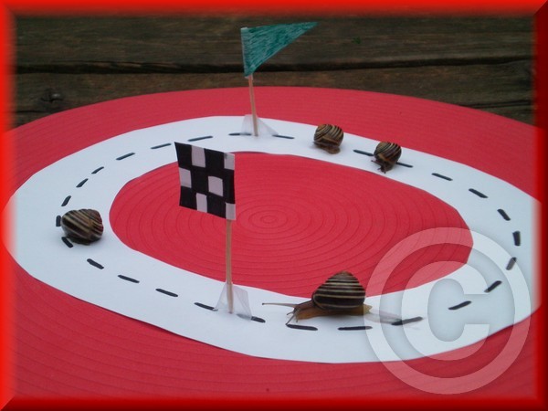 A snail race....lolol  :)